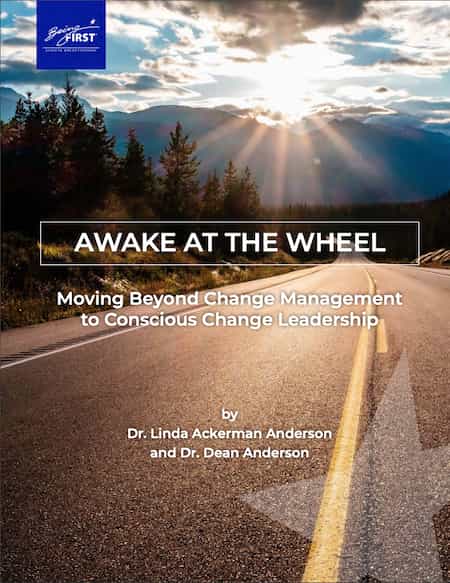 Awake - Moving Beyond Change Management eBook